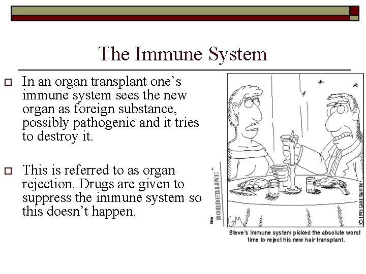 The Immune System o In an organ transplant one’s immune system sees the new The Immune System o In an organ transplant one’s immune system sees the new