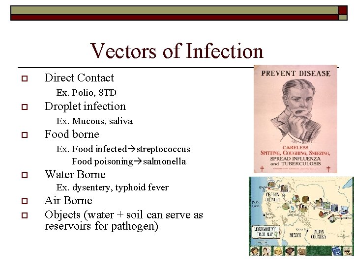 Vectors of Infection o Direct Contact Ex. Polio, STD o Droplet infection Ex. Mucous, Vectors of Infection o Direct Contact Ex. Polio, STD o Droplet infection Ex. Mucous,
