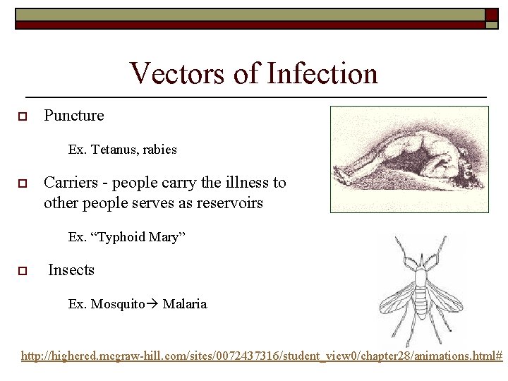 Vectors of Infection o Puncture Ex. Tetanus, rabies o Carriers - people carry the Vectors of Infection o Puncture Ex. Tetanus, rabies o Carriers - people carry the