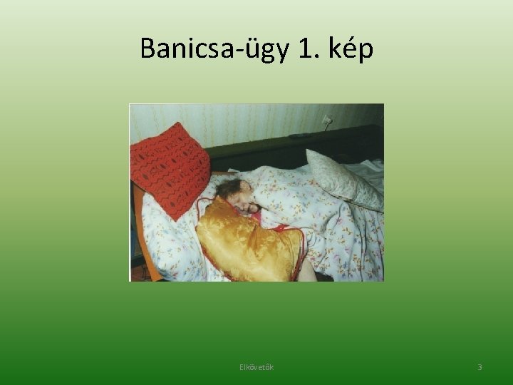 Banicsa-ügy 1. kép Elkövetők 3 