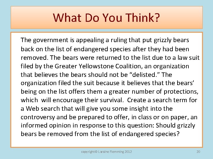What Do You Think? The government is appealing a ruling that put grizzly bears