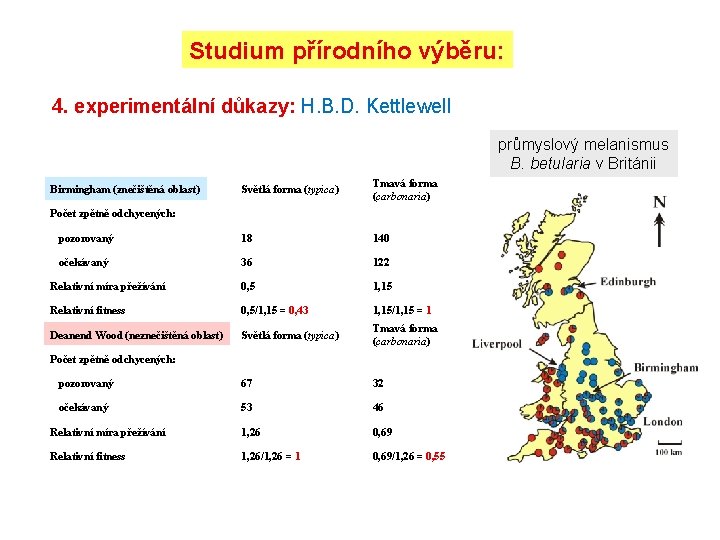 Studium přírodního výběru: 4. experimentální důkazy: H. B. D. Kettlewell průmyslový melanismus B. betularia