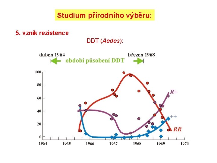 Studium přírodního výběru: 5. vznik rezistence DDT (Aedes): 