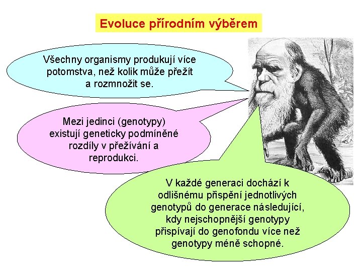 Evoluce přírodním výběrem Všechny organismy produkují více potomstva, než kolik může přežít a rozmnožit