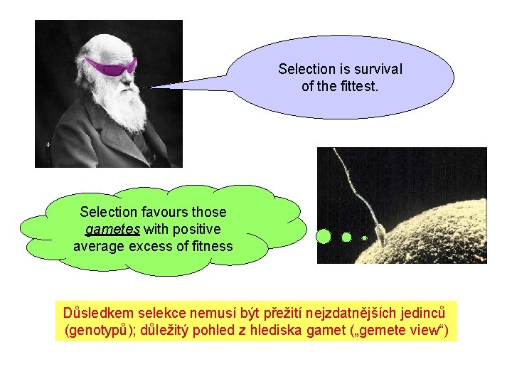 Selection is survival of the fittest. Selection favours those gametes with positive average excess