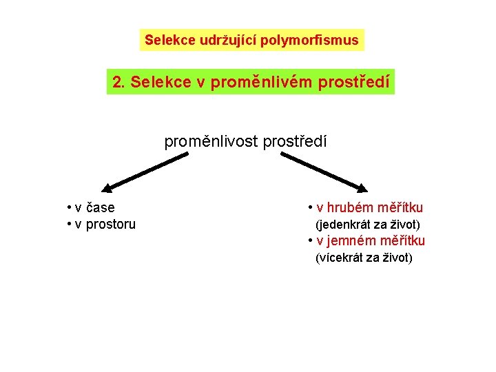 Selekce udržující polymorfismus 2. Selekce v proměnlivém prostředí proměnlivost prostředí • v čase •
