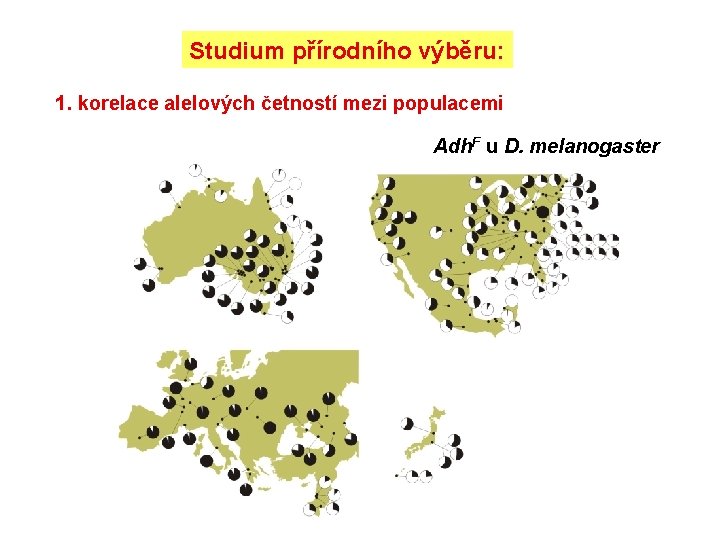 Studium přírodního výběru: 1. korelace alelových četností mezi populacemi Adh. F u D. melanogaster