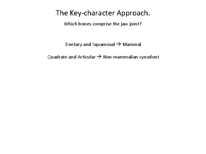 The Key-character Approach. Which bones comprise the jaw joint? Dentary and Squamosal Mammal Quadrate