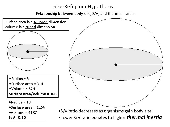 Size-Refugium Hypothesis. Relationship between body size, S/V, and thermal inertia. Surface area is a
