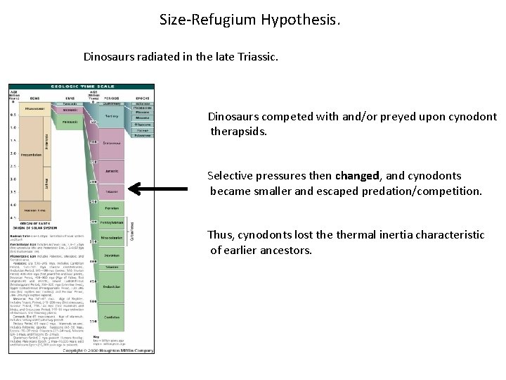 Size-Refugium Hypothesis. Dinosaurs radiated in the late Triassic. Dinosaurs competed with and/or preyed upon