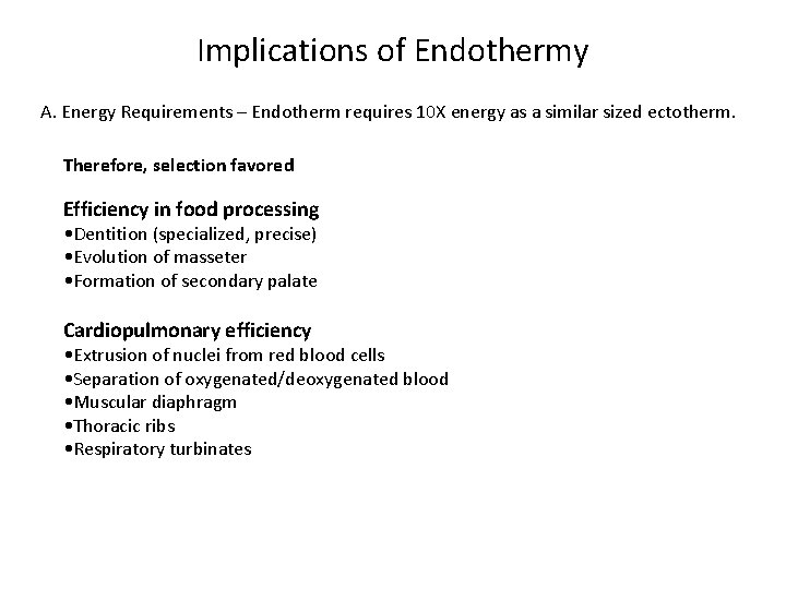 Implications of Endothermy A. Energy Requirements – Endotherm requires 10 X energy as a