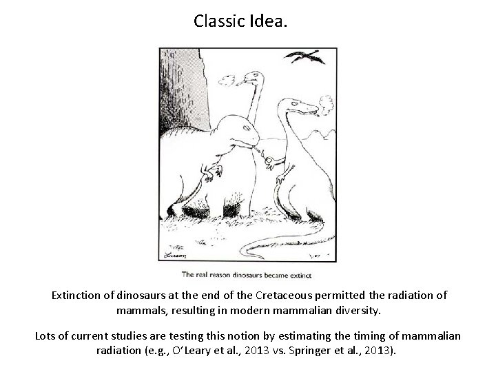 Classic Idea. Extinction of dinosaurs at the end of the Cretaceous permitted the radiation