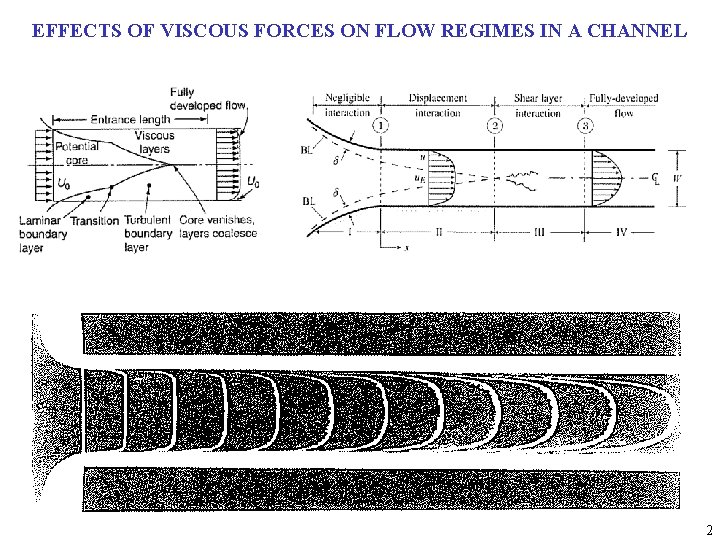 EFFECTS OF VISCOUS FORCES ON FLOW REGIMES IN A CHANNEL 2 
