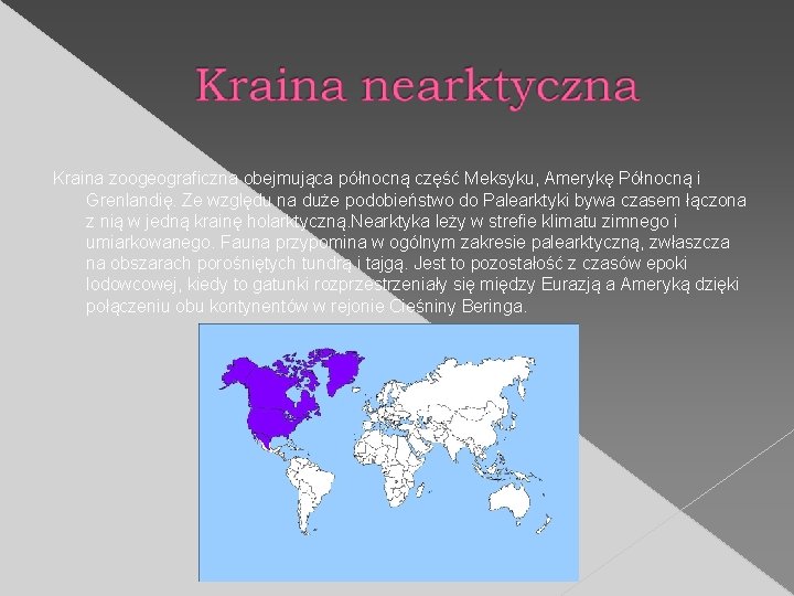 Kraina zoogeograficzna obejmująca północną część Meksyku, Amerykę Północną i Grenlandię. Ze względu na duże