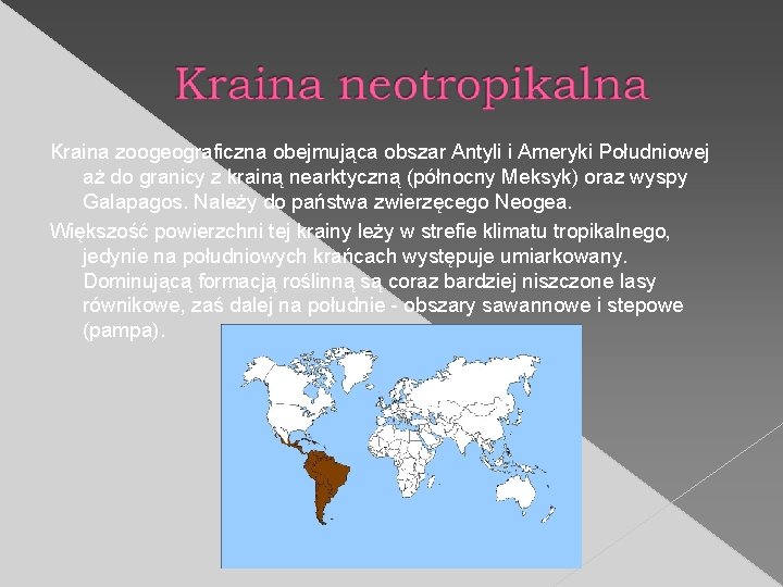 Kraina zoogeograficzna obejmująca obszar Antyli i Ameryki Południowej aż do granicy z krainą nearktyczną