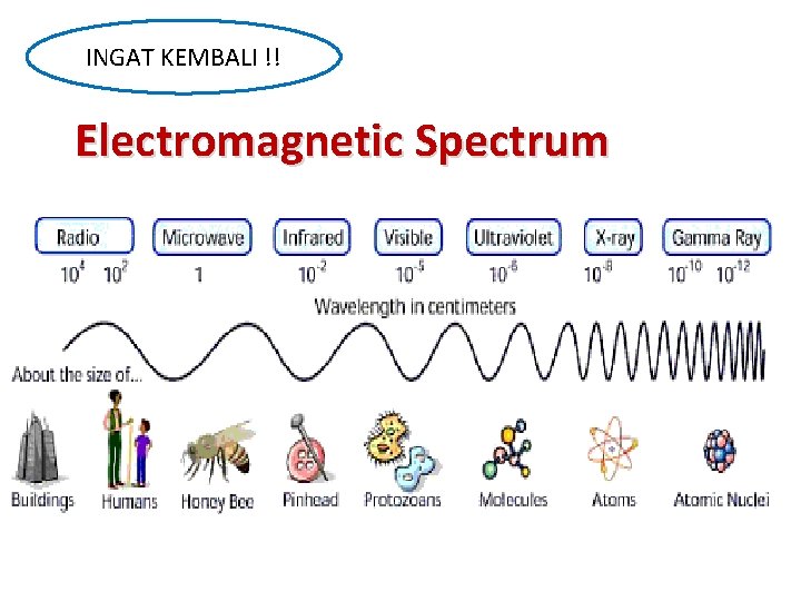 INGAT KEMBALI !! Electromagnetic Spectrum 