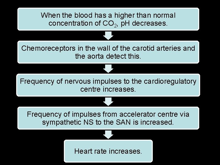 When the blood has a higher than normal concentration of CO 2, p. H