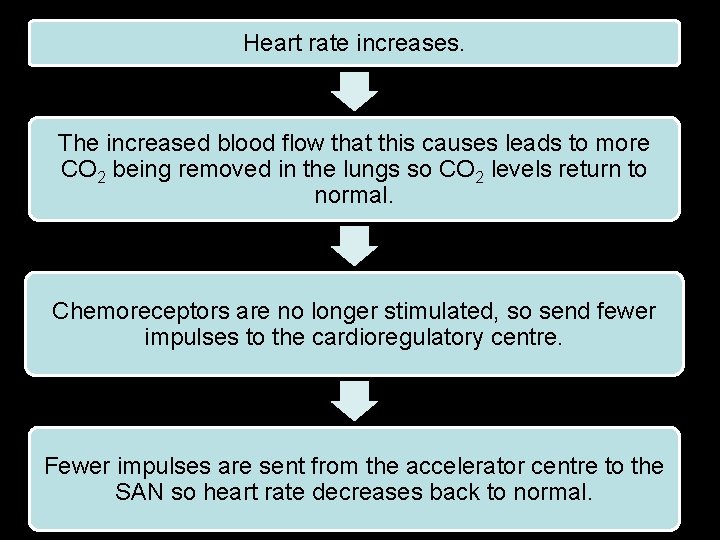 Which Of The Following Increases Heart Rate Review The Cardiac Cycle 1 Label the diagram