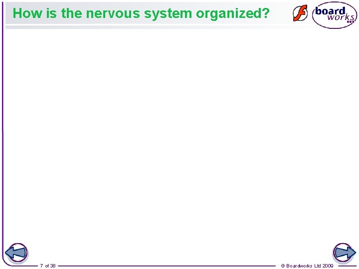 How is the nervous system organized? 7 of 38 © Boardworks Ltd 2009 