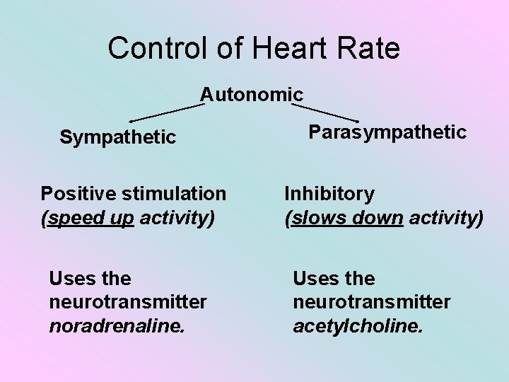 Control of Heart Rate Autonomic Sympathetic Positive stimulation (speed up activity) Uses the neurotransmitter