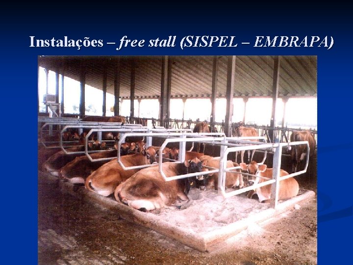 Instalações – free stall (SISPEL – EMBRAPA) 
