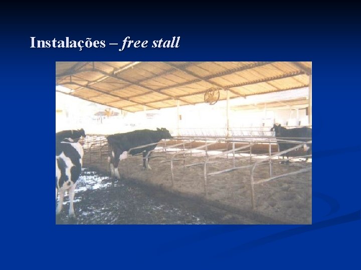 Instalações – free stall 