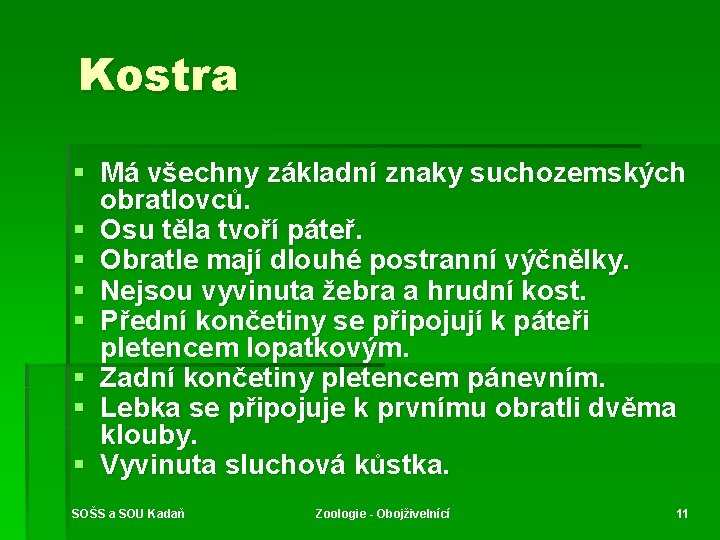 Kostra § Má všechny základní znaky suchozemských obratlovců. § Osu těla tvoří páteř. §