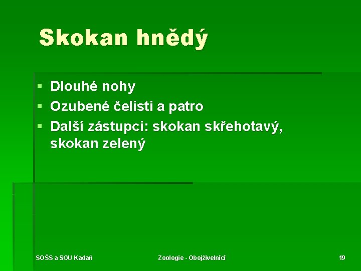 Skokan hnědý § Dlouhé nohy § Ozubené čelisti a patro § Další zástupci: skokan