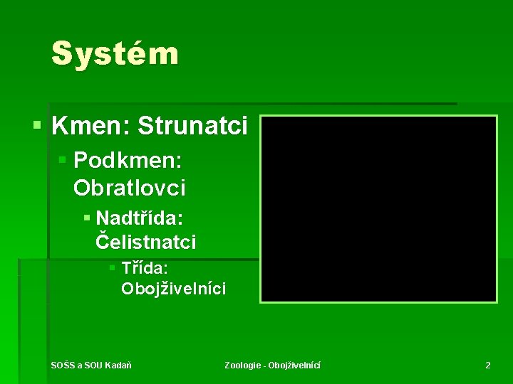 Systém § Kmen: Strunatci § Podkmen: Obratlovci § Nadtřída: Čelistnatci § Třída: Obojživelníci SOŠS