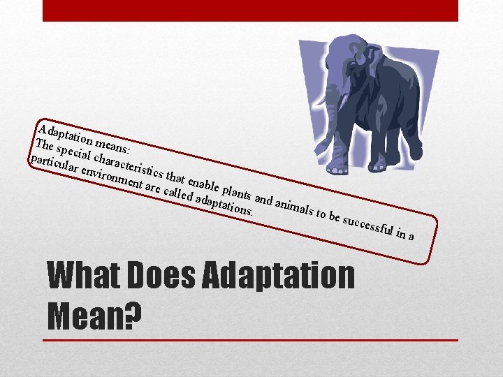 Adap ta The s tion means pe : partic cial chara c ular e