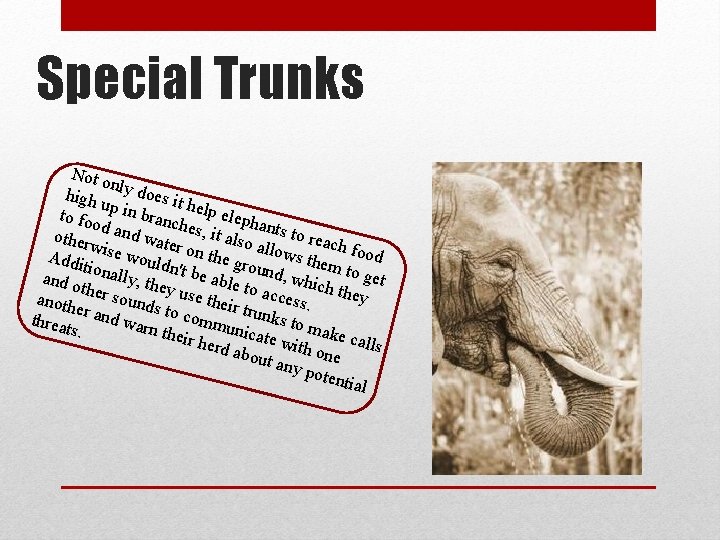Special Trunks Not o n high ly does it u h to foo p