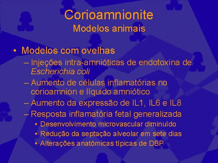 Corioamnionite Modelos animais • Modelos com ovelhas – Injeções intra-amnióticas de endotoxina de Escherichia