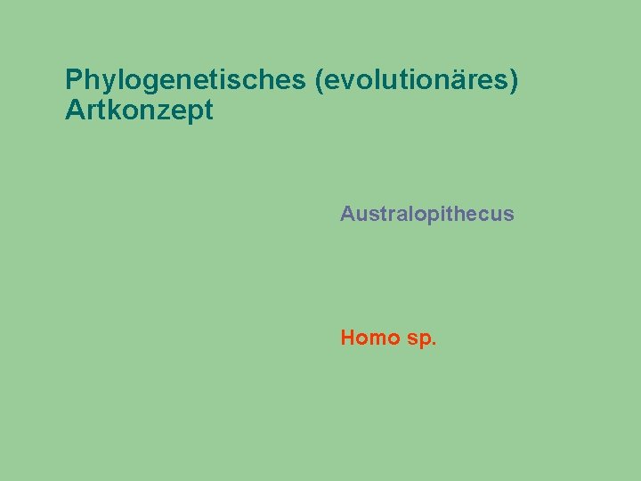 Phylogenetisches (evolutionäres) Artkonzept Australopithecus Homo sp. 