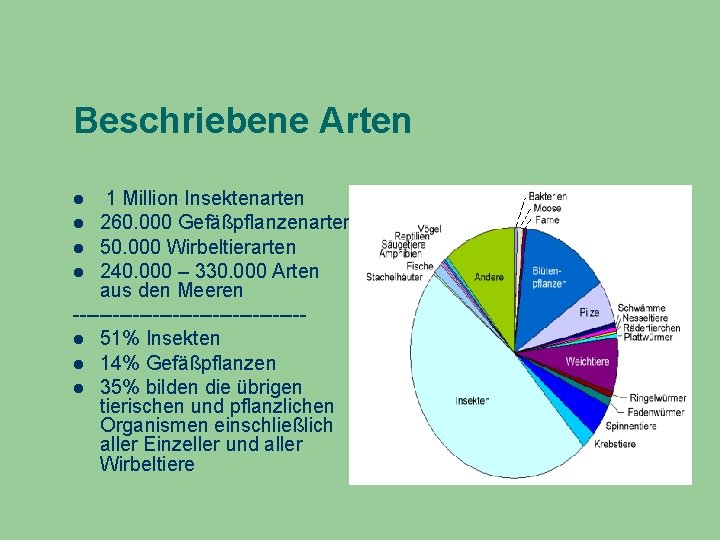 Beschriebene Arten 1 Million Insektenarten 260. 000 Gefäßpflanzenarten 50. 000 Wirbeltierarten 240. 000 –