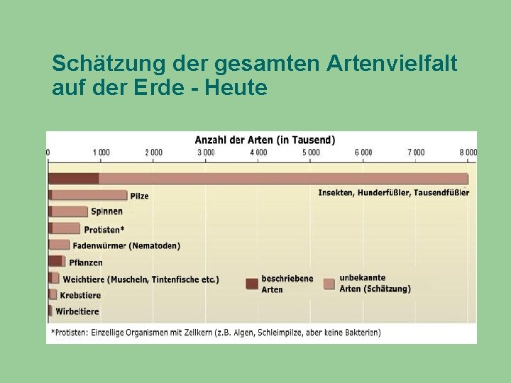 Schätzung der gesamten Artenvielfalt auf der Erde - Heute 