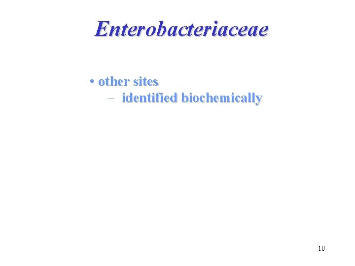 Enterobacteriaceae • other sites – identified biochemically 10 