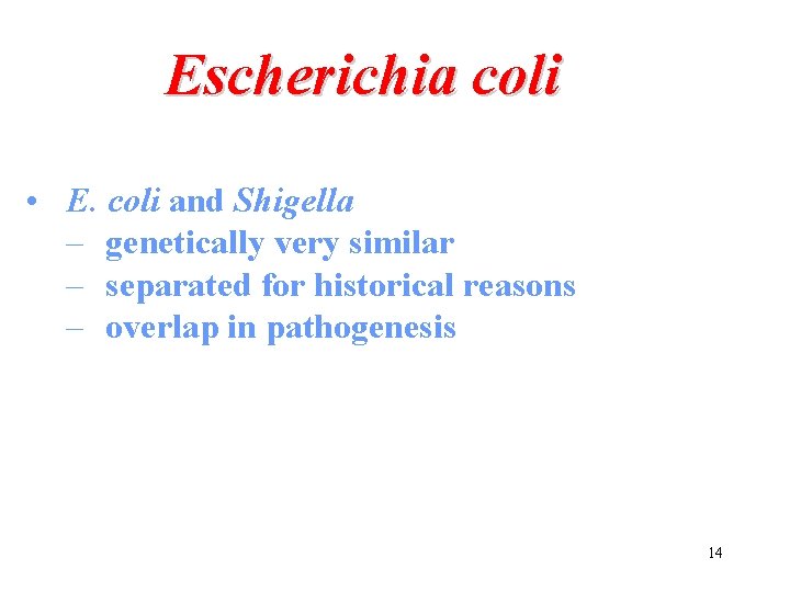 Escherichia coli • E. coli and Shigella – genetically very similar – separated for