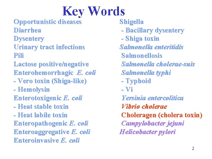 Key Words Opportunistic diseases Diarrhea Dysentery Urinary tract infections Pili Lactose positive/negative Enterohemorrhagic E.