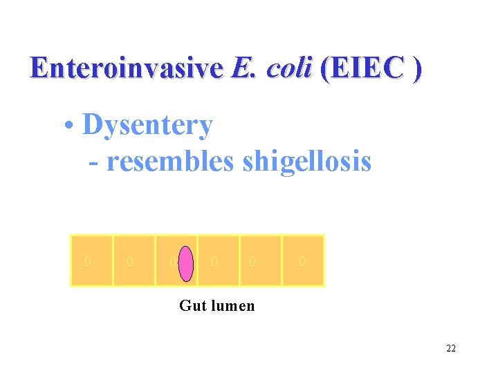 Enteroinvasive E. coli (EIEC ) • Dysentery - resembles shigellosis Gut lumen 22 