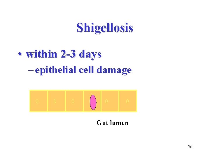 Shigellosis • within 2 -3 days – epithelial cell damage Gut lumen 26 