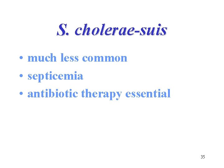 S. cholerae-suis • much less common • septicemia • antibiotic therapy essential 35 