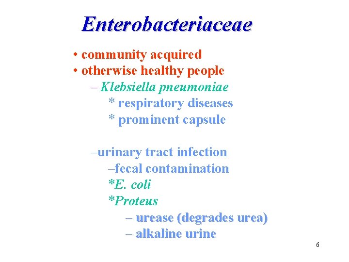 Enterobacteriaceae • community acquired • otherwise healthy people – Klebsiella pneumoniae * respiratory diseases