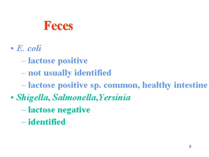 Feces • E. coli – lactose positive – not usually identified – lactose positive