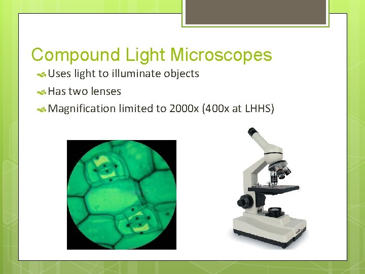 Compound Light Microscopes Uses light to illuminate objects Has two lenses Magnification limited to