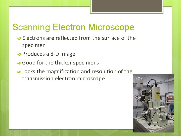 Scanning Electron Microscope Electrons are reflected from the surface of the specimen Produces a