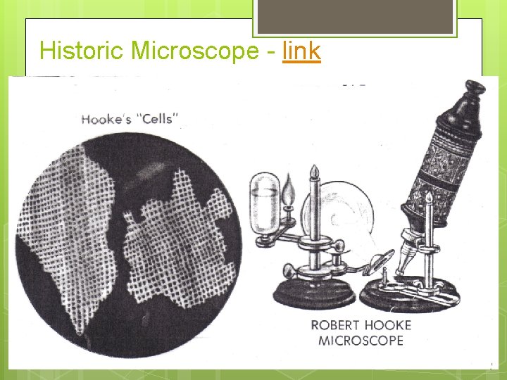 Historic Microscope - link 