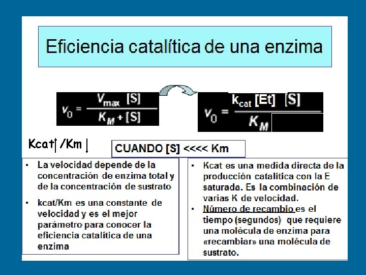 Kcat /Km 