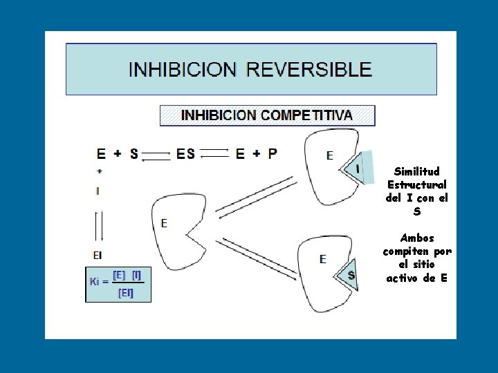 Similitud Estructural del I con el S Ambos compiten por el sitio activo de