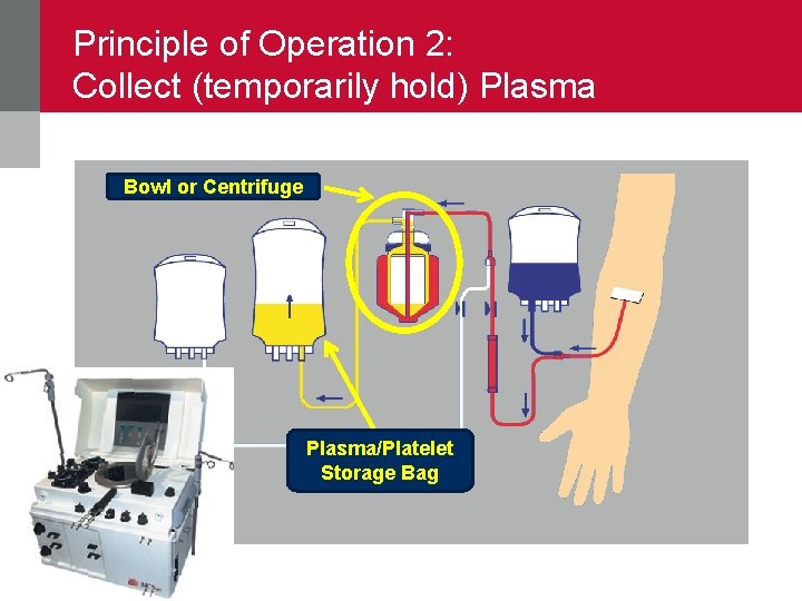 Principle of Operation 2: Collect (temporarily hold) Plasma Bowl or Centrifuge Plasma/Platelet Storage Bag