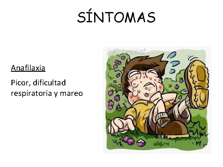 SÍNTOMAS Anafilaxia Picor, dificultad respiratoria y mareo 